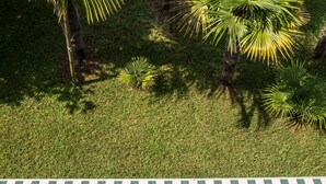 A grassy area with palm trees and a striped surface, likely a patio or walkway.