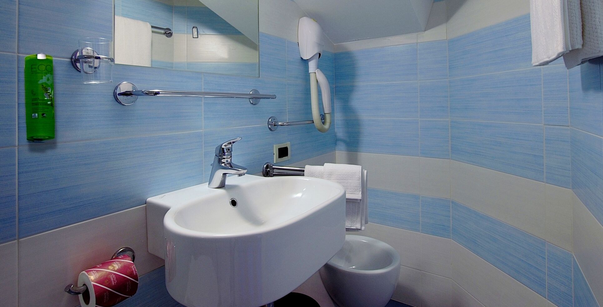 single room | bathroom | shower, hair dryer, bidet, towels