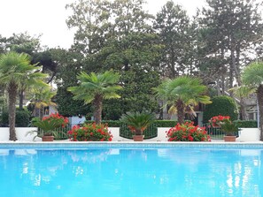 A swimming pool surrounded by palm trees and red flowers, with a backdrop of dense green foliage and tall trees.