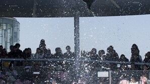 A dolphin performing a jump above a crowd at an outdoor event. - Hotel Zaaz (Oita)
