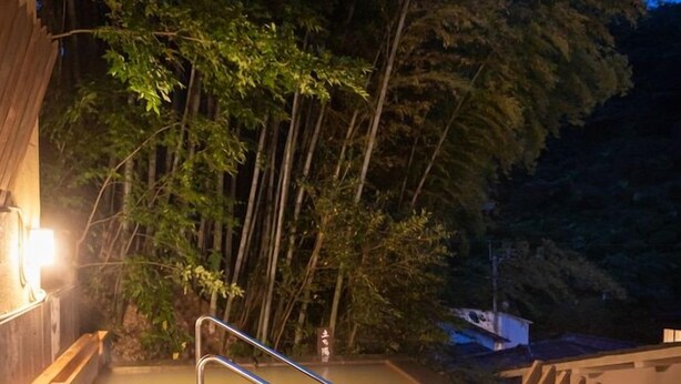 A hot spring area with a metal staircase leading down to a pool of water, surrounded by trees and a building structure. - Ryokan Nanjoen (Minamioguni)