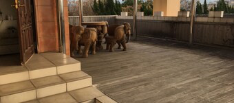 Harazuru Onsen Hotel Topmega Itoen