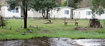 Marysville Holiday Park
