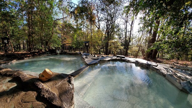A natural hot spring surrounded by trees. - Kirishima Onsen Ryokojin Sanso (Kirishima)