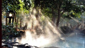 A natural hot spring surrounded by trees and rocks. - Kirishima Onsen Ryokojin Sanso (Kirishima)