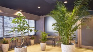En lobby med store plantepotte, fletstole og et moderne loftdesign.