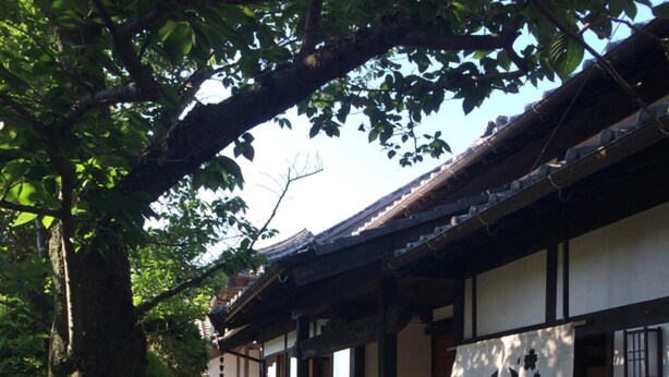 A traditional Japanese building with a wooden exterior, stone pathway, and a large water wheel. - Temple Stay Tsushima Seizanji (Tsushima)