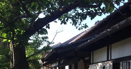 Temple Stay Tsushima Seizanji