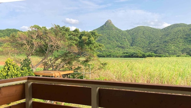 Property grounds - Beach and Mountain (Ishigaki)