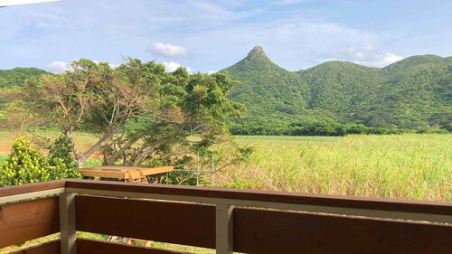 Beach and Mountain