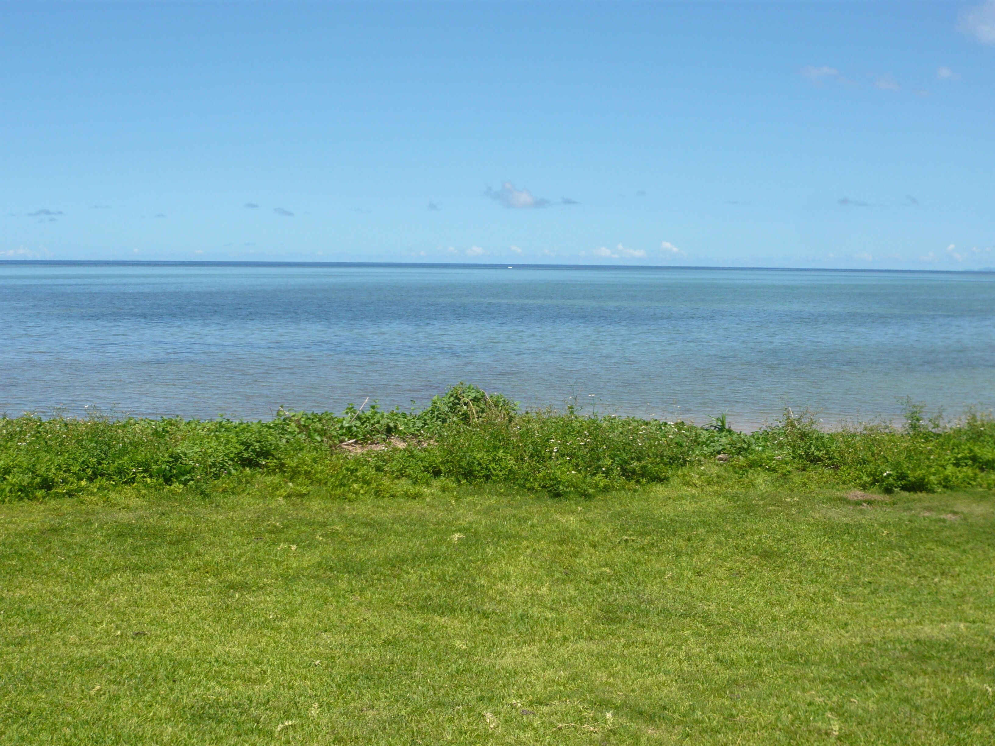 A grassy area with a view of the sea.