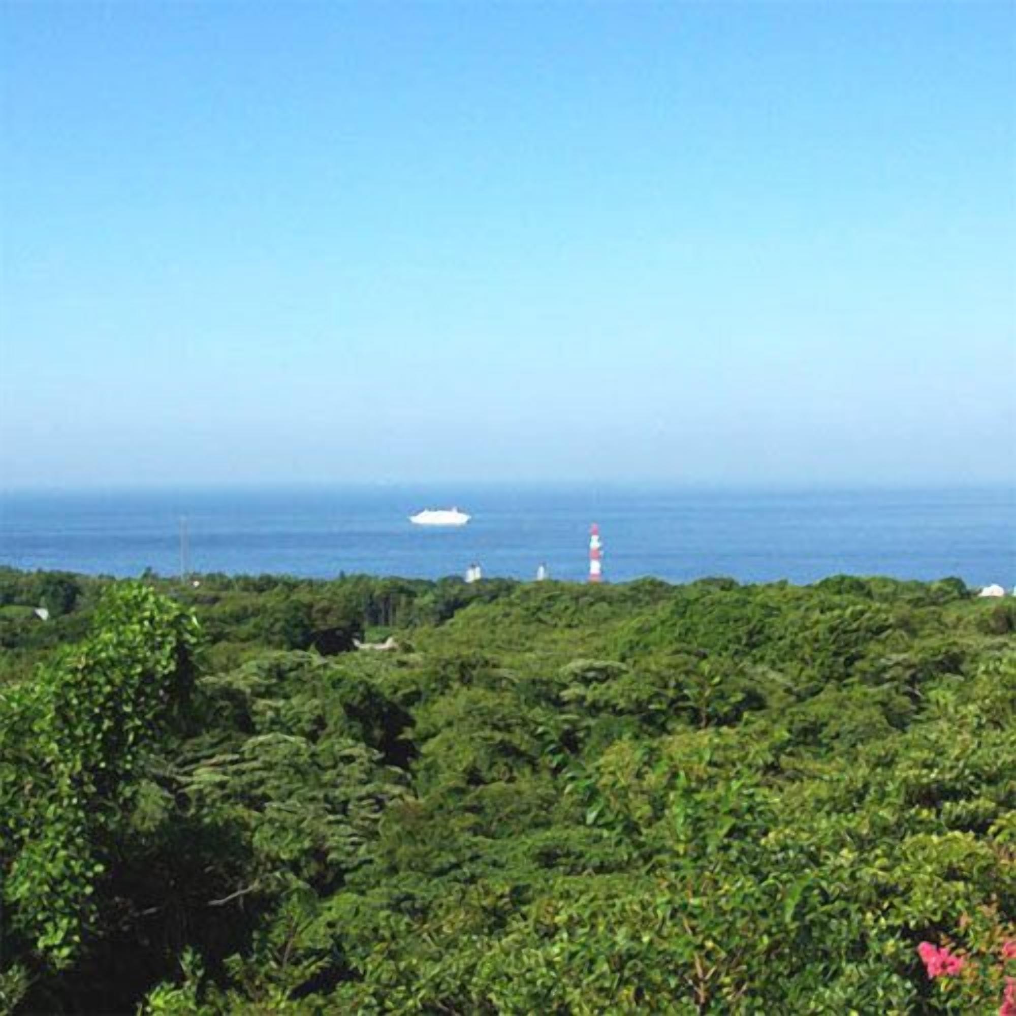 Kustlandschap met weelderige begroeiing, een vuurtoren en een schip in de verte.