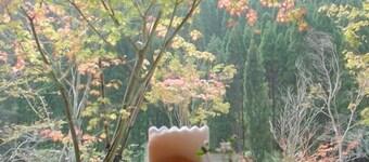 Anraku Onsen Shumine