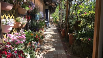 Teras/patio