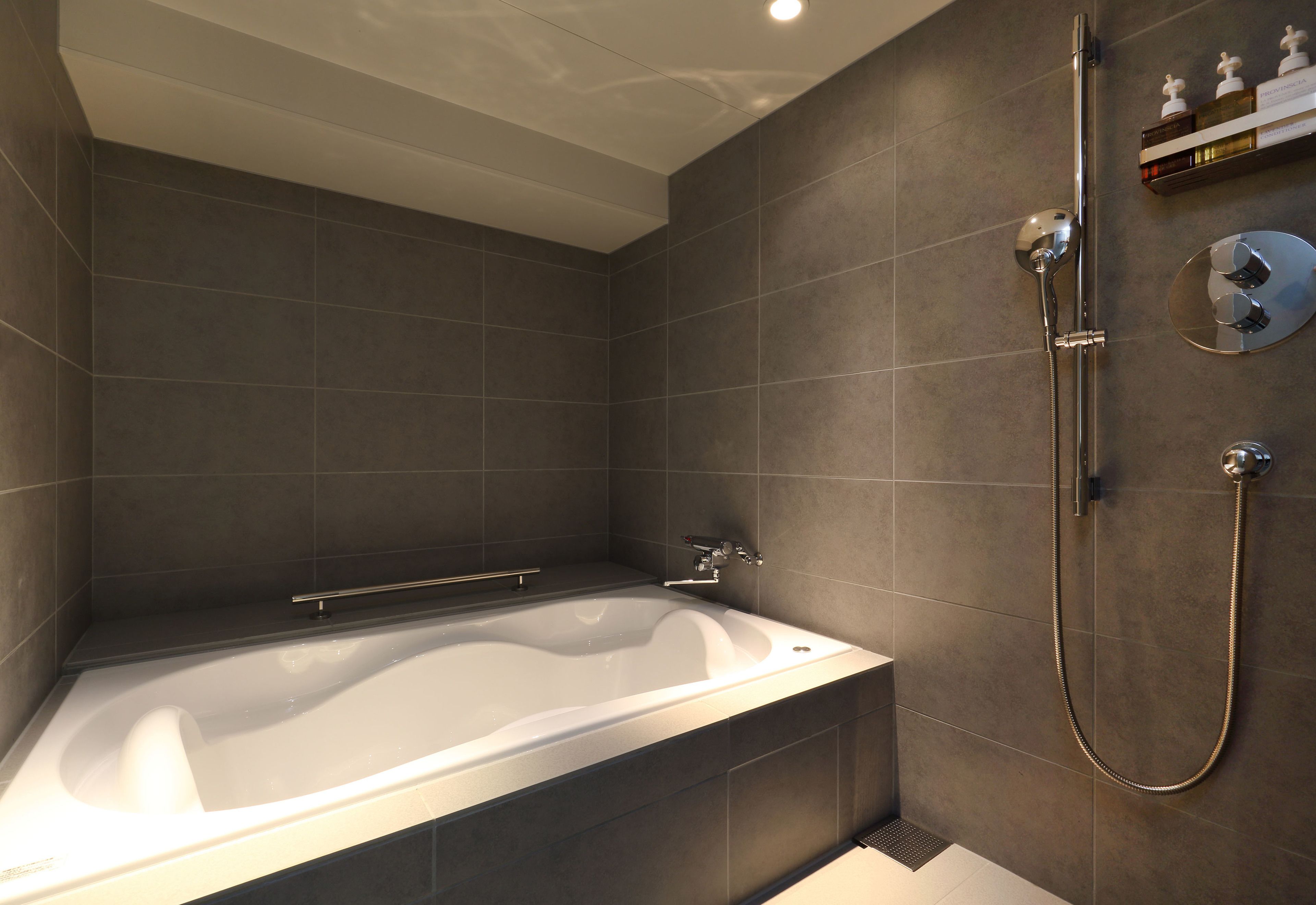 combined shower/bathtub, rainfall showerhead, free toiletries