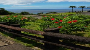 A coastal landscape with a wooden fence, red flowers, and a view of the sea. - Amami Port Tower Hotel (Amami)