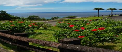 A coastal landscape with a wooden fence, red flowers, and a view of the sea.
