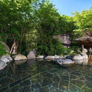 Spa - Ota Onsen Hanareyado Yamasaki (Minamioguni)