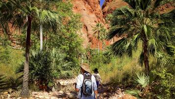 A rocky hiking trail with palm trees and a red rock formation in the background.
