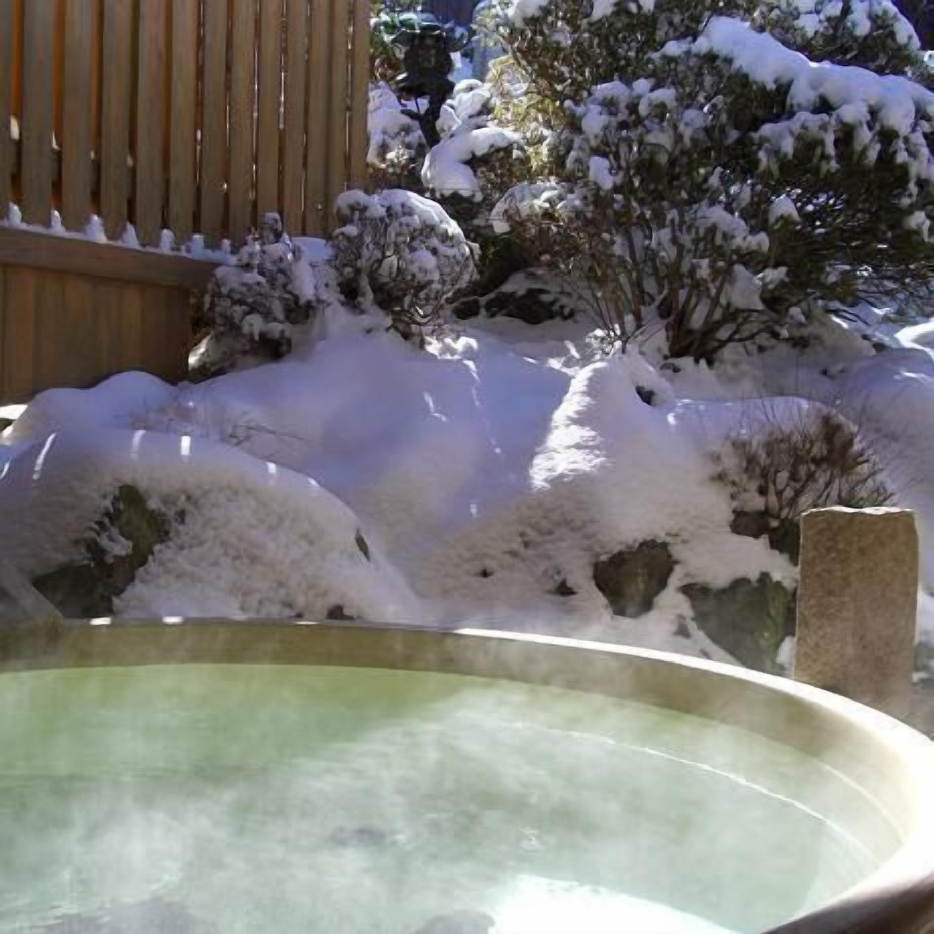 A hot spring surrounded by snow-covered plants and rocks.