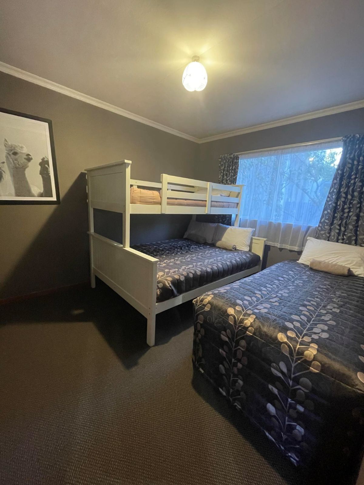 A room with a bunk bed, a single bed, a framed picture on the wall, and a window with curtains.