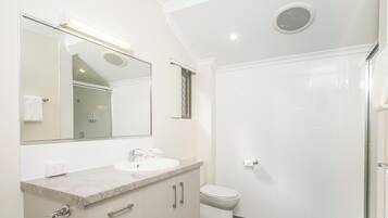 A modern bathroom with a marble countertop, a toilet, and a glass-enclosed shower.