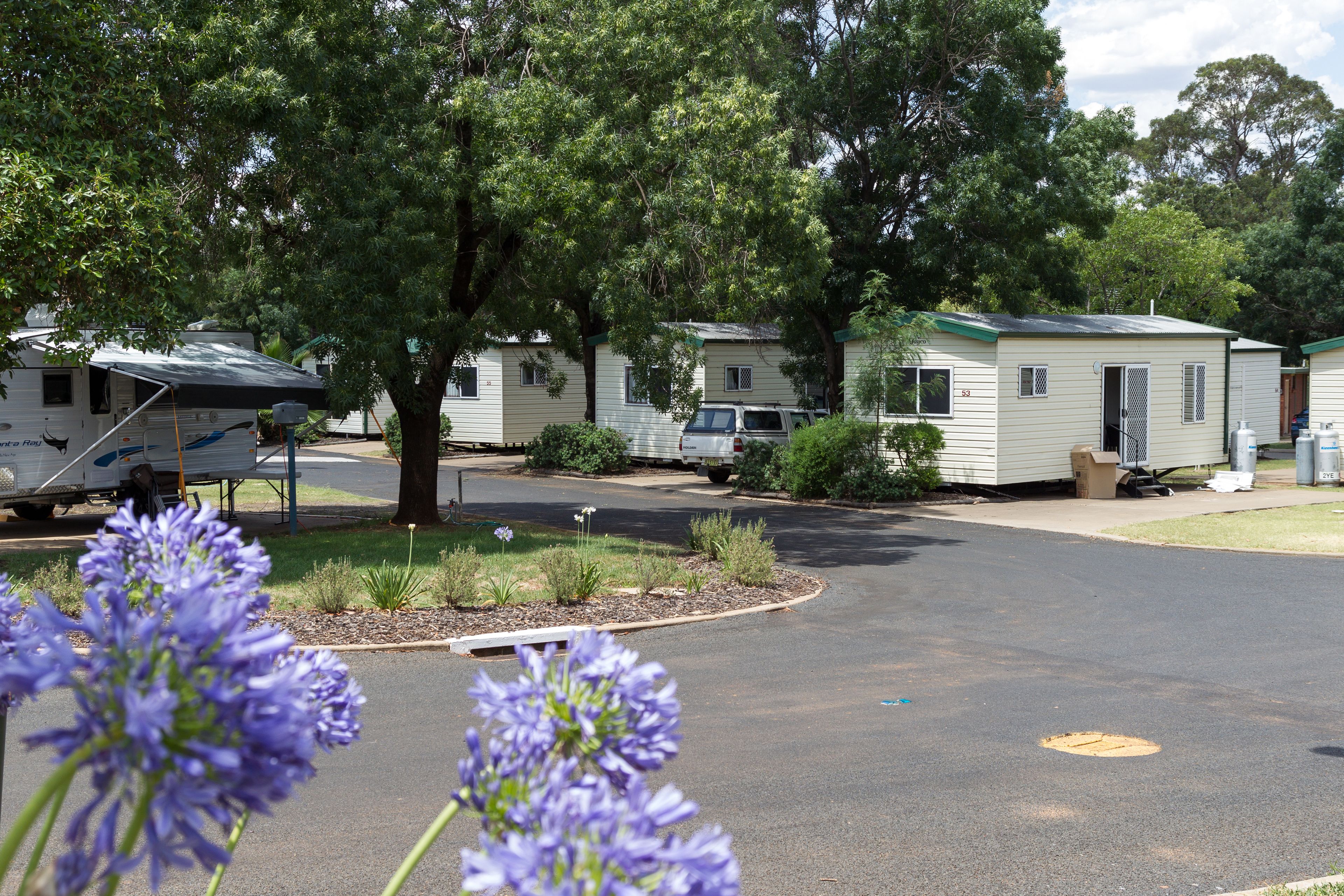 Un camping con casas móviles, una zona de estacionamiento pavimentada y un árbol central.