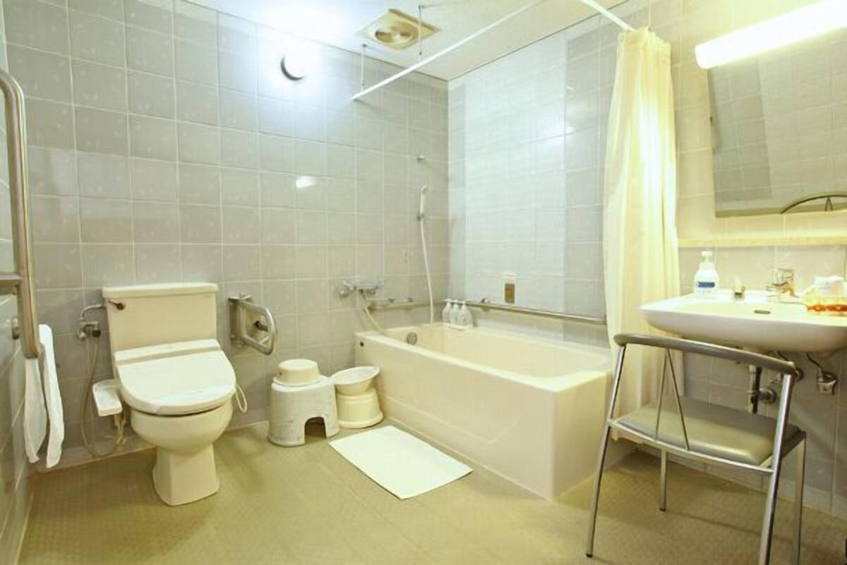 free toiletries, hair dryer, electronic bidet, towels