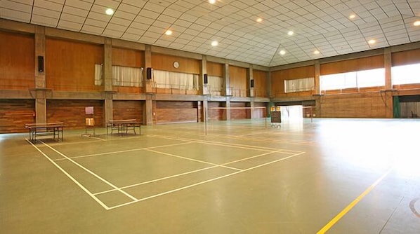 En indendørs sportshal med en basketballbane, siddepladser og et højtloft med netbelysning.