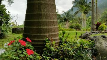 A tropical garden with a large tree trunk, red and white flowers, and a mountainous backdrop.