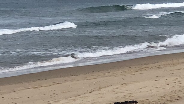 Una playa con olas acercándose a la orilla.
