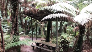 Un gazebo de madera con bancos rodeado de helechos y árboles en un área boscosa.