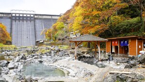 A traditional Japanese onsen with a stone bath, a wooden pavilion, and a backdrop of autumn foliage and a dam. - Ryokan Yubara International Tourist HOT (MANIWA SHI)
