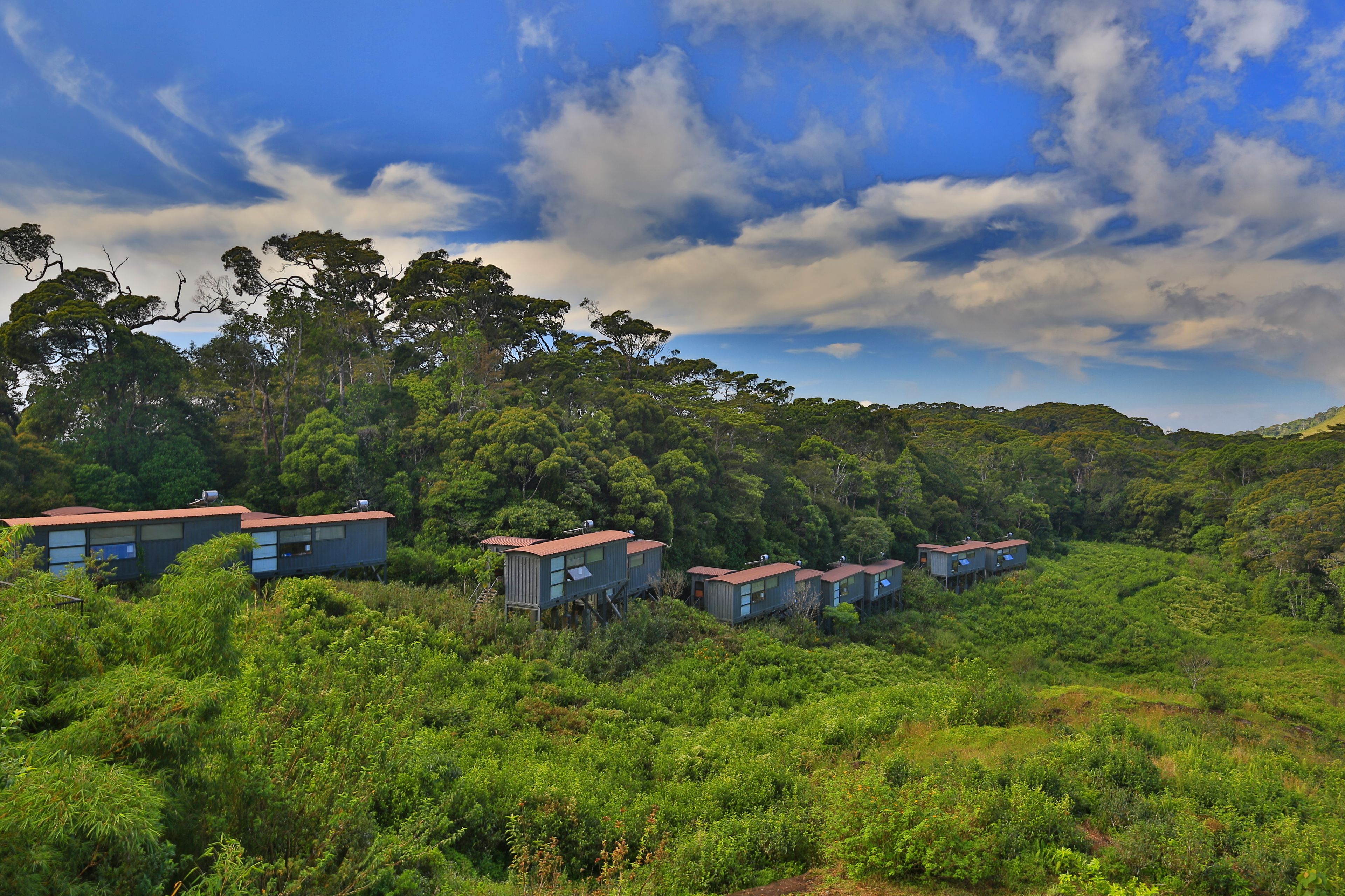A series of elevated wooden cabins surrounded by dense forest, with a clear sky above.