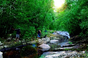 A natural setting with a stream and rocks, surrounded by dense green foliage. - The Rainforest Ecolodge (Kotapola)