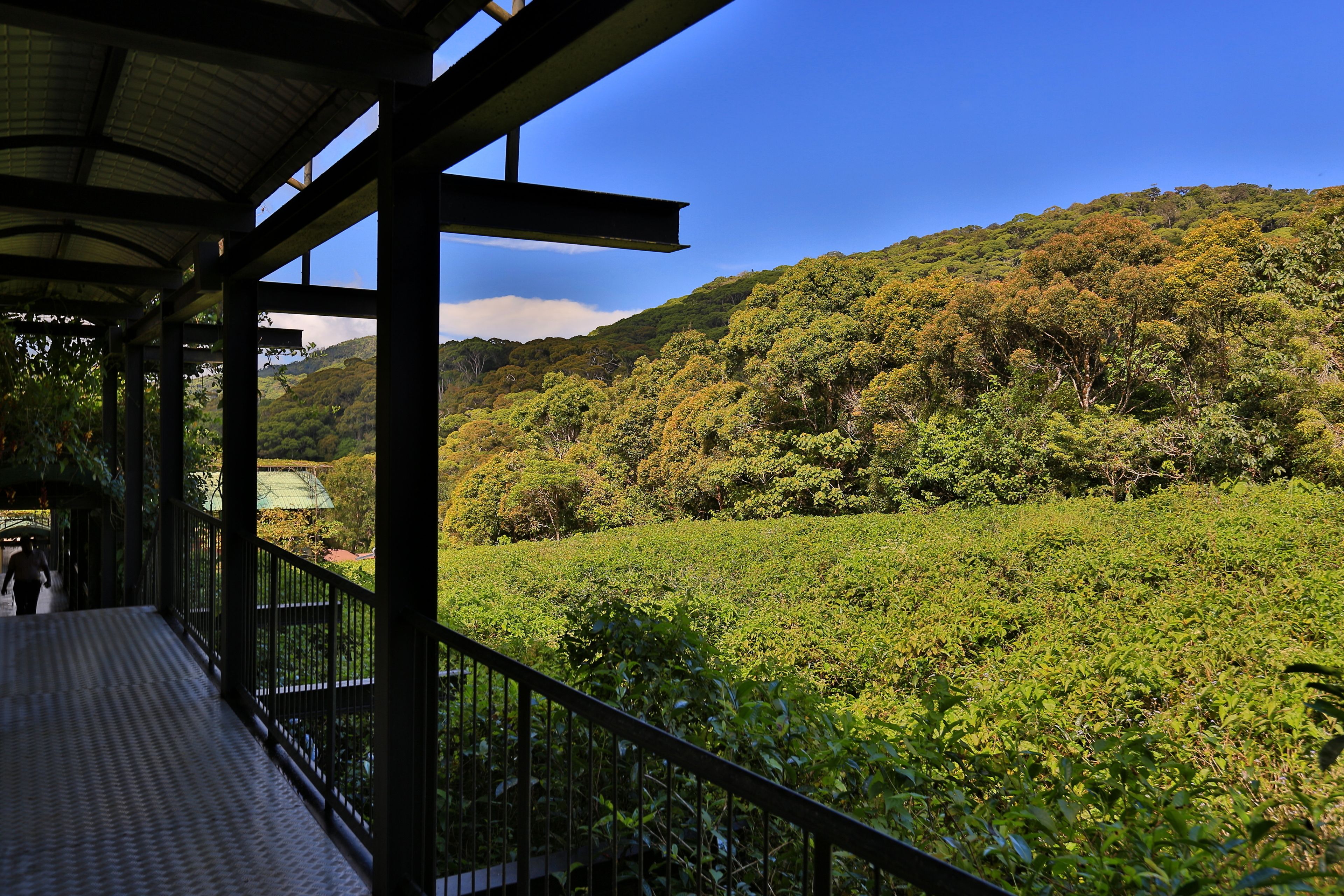 A covered walkway with a view of a lush green hillside.