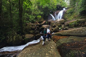 Une cascade naturelle, entourée de rochers et d’une forêt dense.