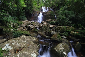 A natural waterfall surrounded by rocks and greenery. - The Rainforest Ecolodge (Kotapola)