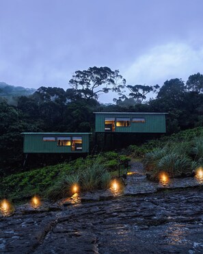 Two elevated green buildings with windows, connected by a stone pathway with lights, surrounded by dense vegetation. - The Rainforest Ecolodge (Kotapola)