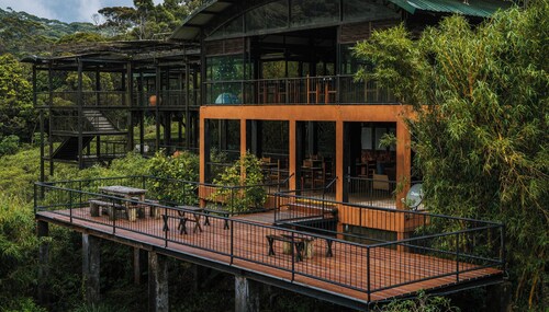 The Rainforest Ecolodge