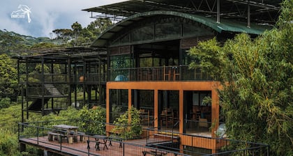 The Rainforest Ecolodge