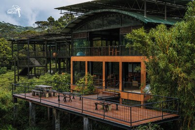 The Rainforest Ecolodge