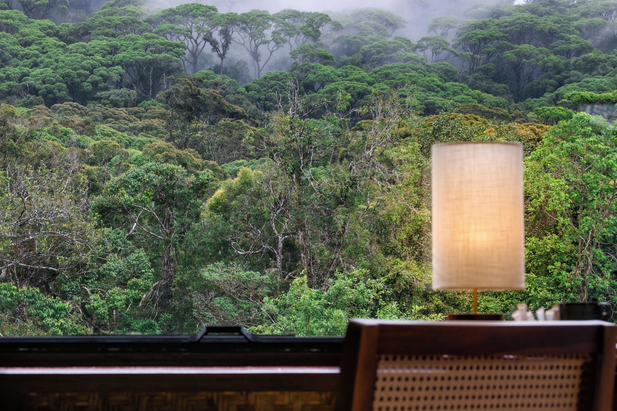 A room with a view of a dense forest through a window, a lamp on a table, and a chair.