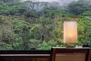 Una habitación con vista a un bosque frondoso a través de una ventana, una lámpara sobre una mesa y una silla.