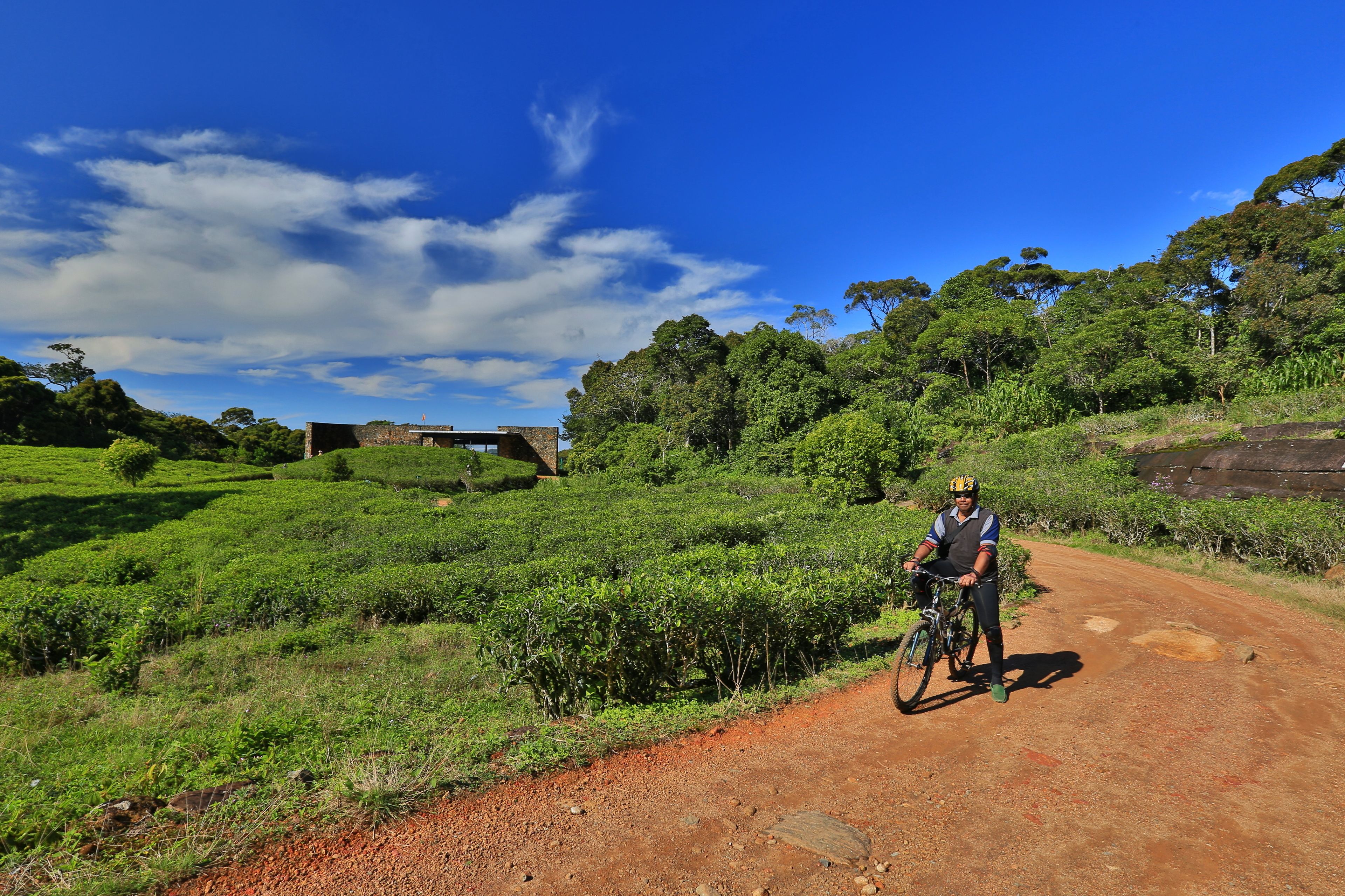 Una persona pedaleando en bicicleta por un sendero de tierra rodeado de abundante vegetación y un cielo azul despejado.