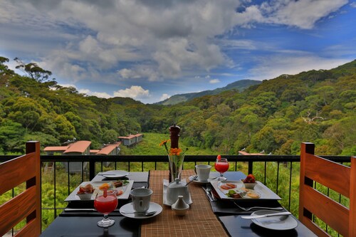The Rainforest Ecolodge