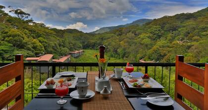 The Rainforest Ecolodge