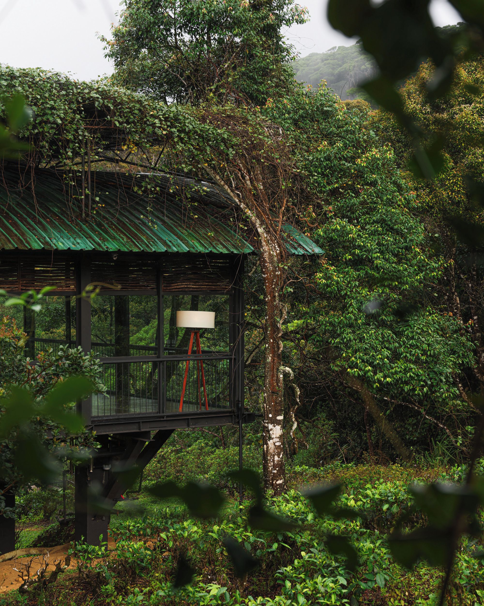 A rustic wooden structure with a green roof, surrounded by dense foliage.