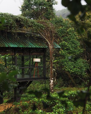 A rustic wooden structure with a green roof, surrounded by dense foliage. - The Rainforest Ecolodge (Kotapola)