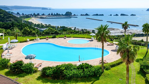 Una gran piscina con diseño curvo, rodeada de palmeras y tumbonas, con vistas al mar y afloramientos rocosos al fondo.